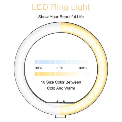 SH 10" LED Ring Light